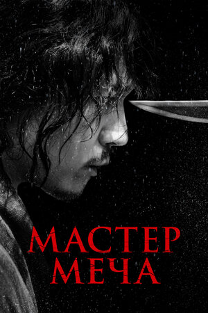 Обложка к Мастер меча
