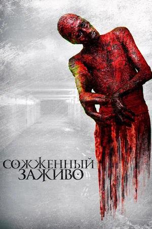 Обложка к Сожженный заживо