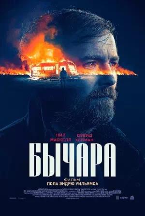Обложка к Бычара
