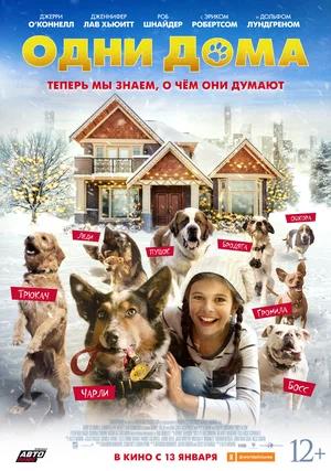 Обложка к Одни дома