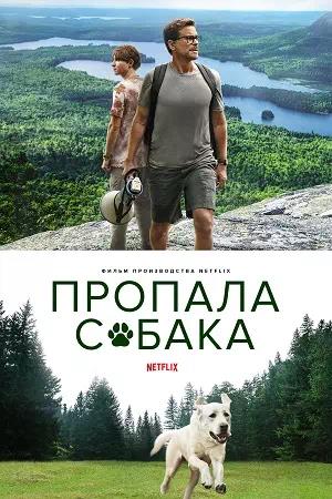 Обложка к Пропала собака