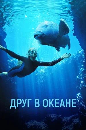 Обложка к Друг в океане