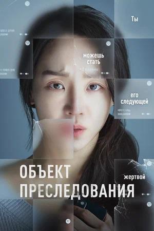 Обложка к Объект преследования