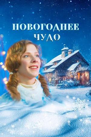 Обложка к Новогоднее чудо