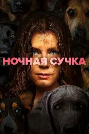 Обложка к Ночная сучка