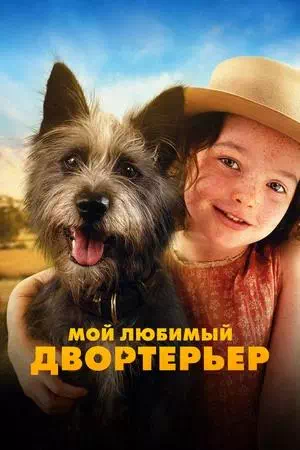 Обложка к Мой любимый двортерьер